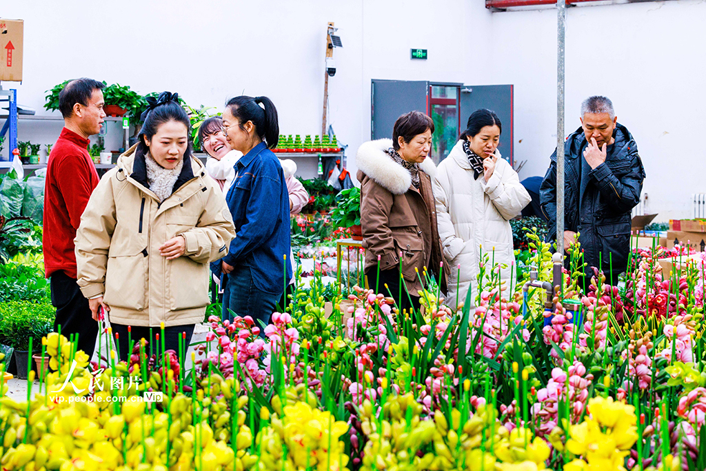 新疆乌鲁木齐：花卉俏销【6】