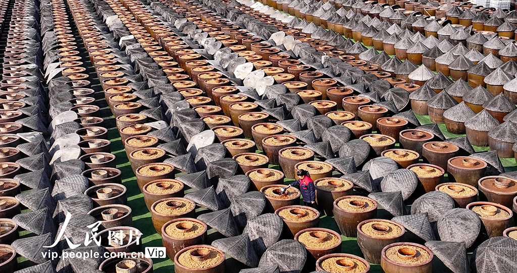 江苏淮安：酿晒忙 酱飘香【6】