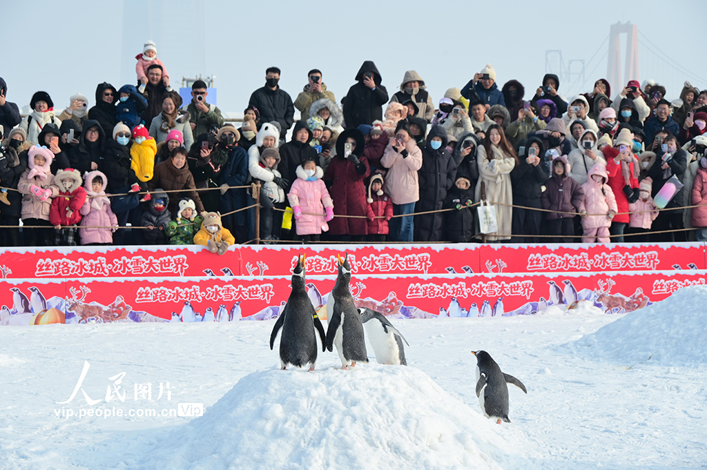 新疆昌吉：冰雪旅游热【6】