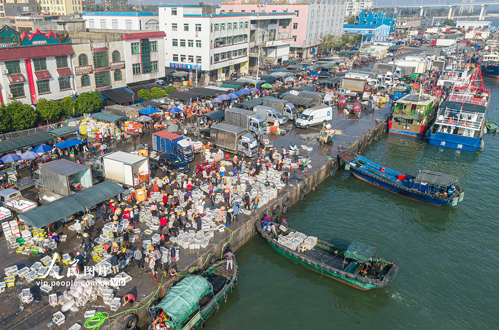 海南文昌：开年迎丰收 码头渔市旺【2】