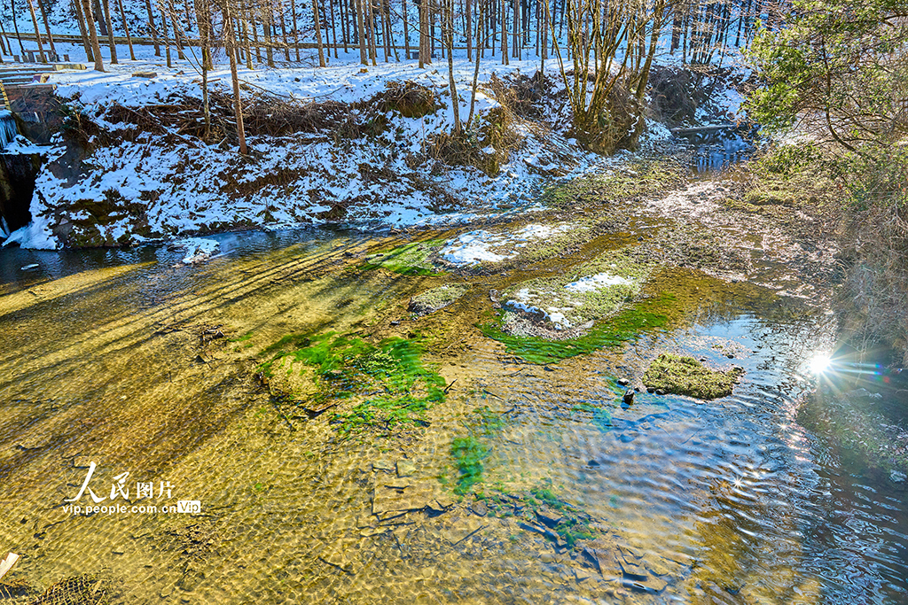 神农架第一站 神农天池的森林氧吧之旅【3】