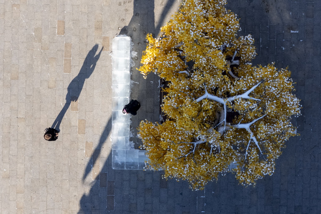 1月14日，游客在中华巴洛克历史文化街区拍照（无人机照片）。新华社记者 张涛 摄