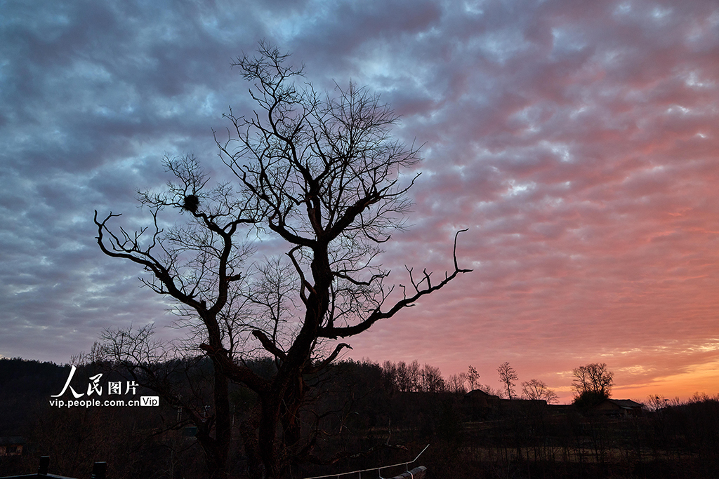 湖北保康：山好水好风光好【4】