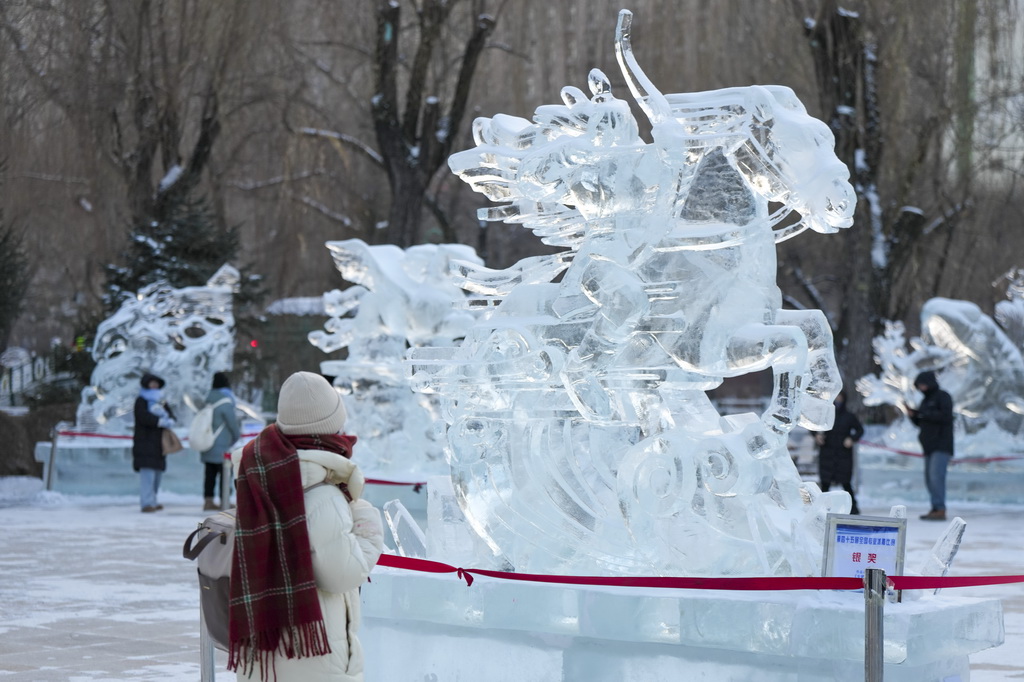  游客在哈尔滨市兆麟公园举办的第52届哈尔滨冰灯艺术游园会上欣赏冰雕作品（1月14日摄）。