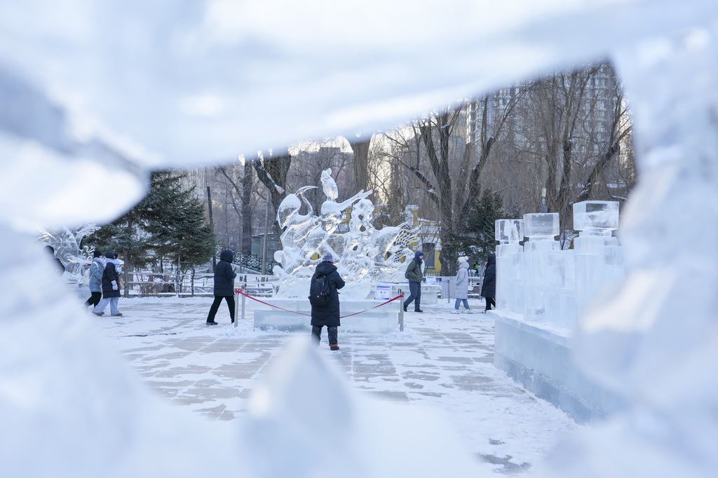 人们在哈尔滨市兆麟公园举办的第52届哈尔滨冰灯艺术游园会上参观（1月14日摄）。