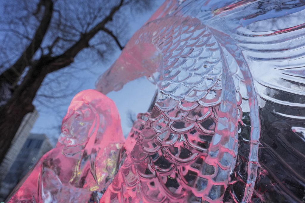 这是在哈尔滨市兆麟公园举办的第52届哈尔滨冰灯艺术游园会上展出的冰雕作品（1月14日摄）。