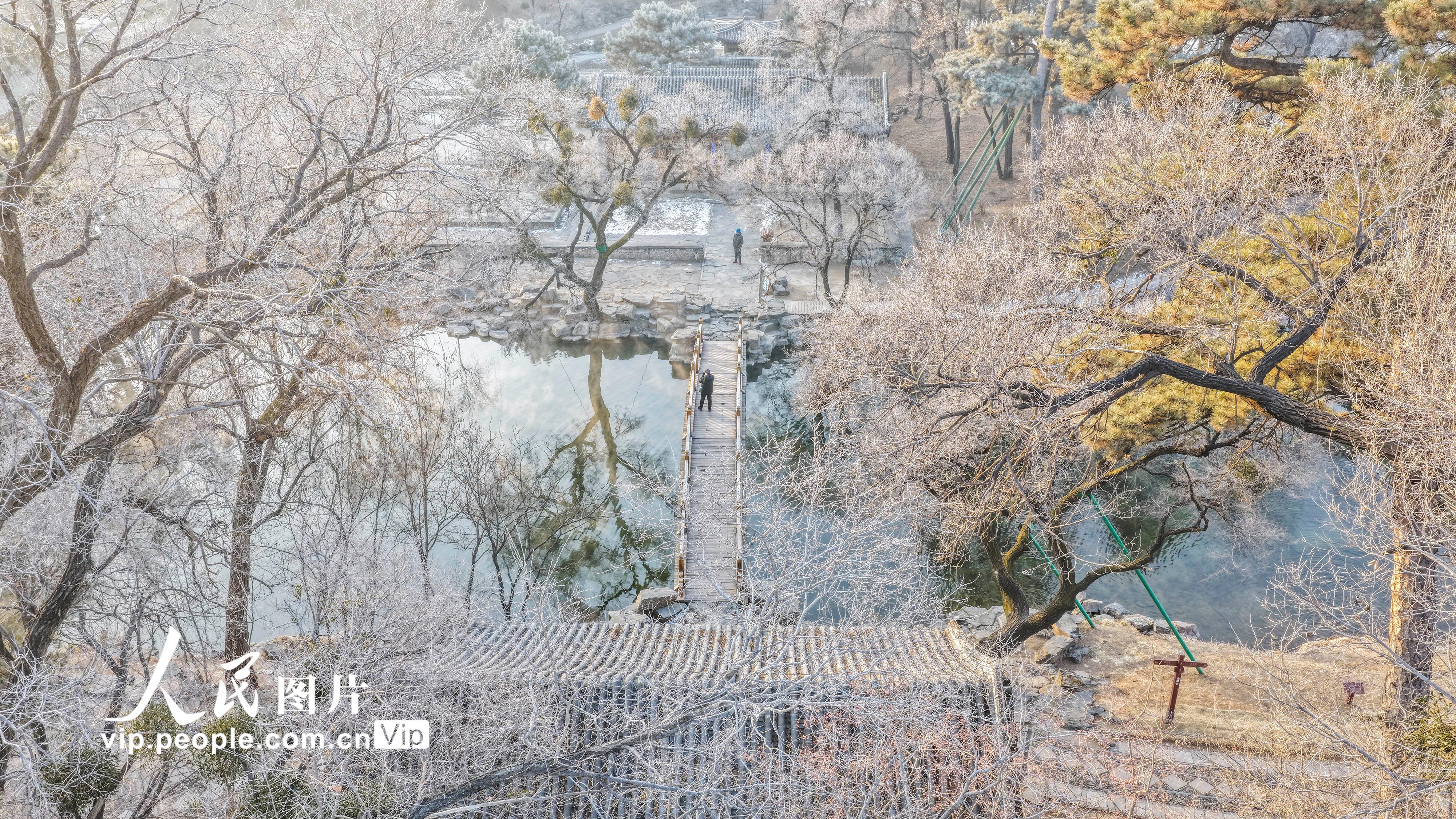 河北承德:避暑山庄现雾凇景观【6】