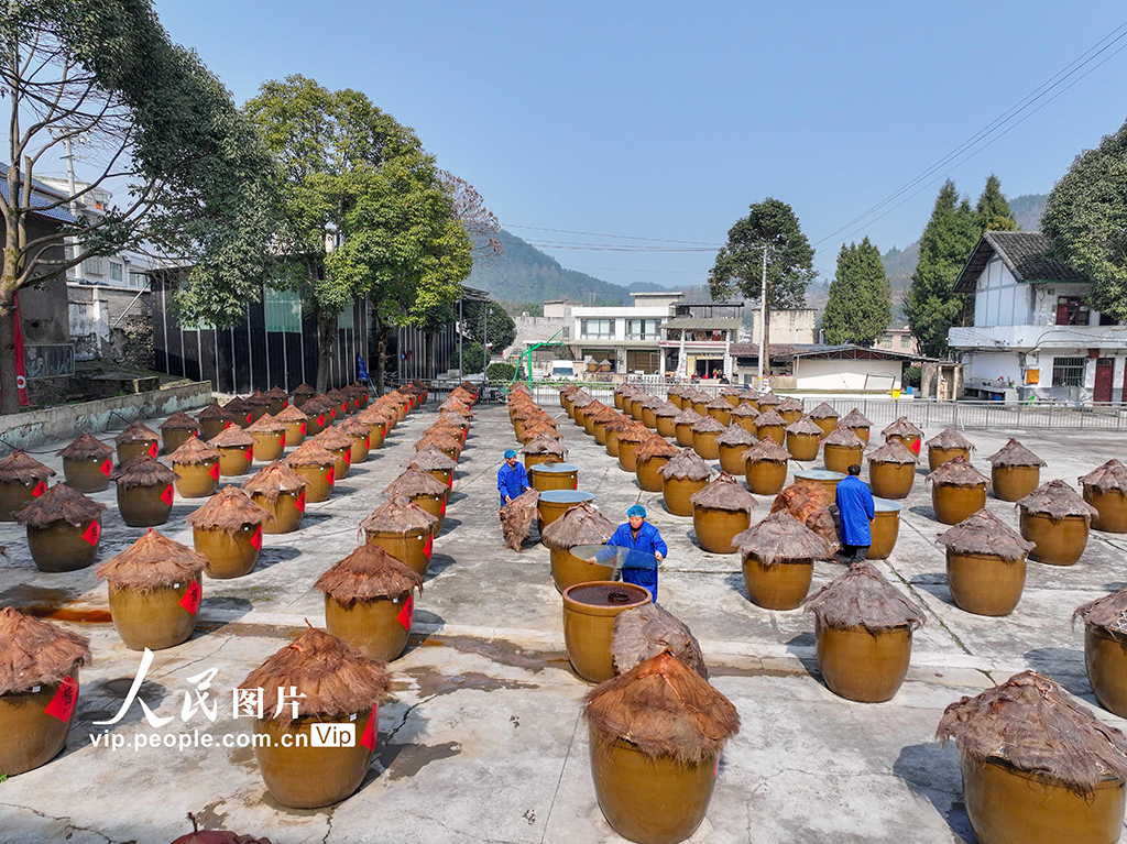 贵州开阳：古法酱油酿造忙【5】