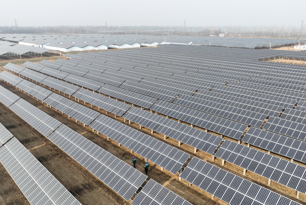 1月16日，国网巨鹿县供电公司的工人在辖区阎疃镇附近的“农光互补”光伏发电场巡检并网线路（无人机照片）。