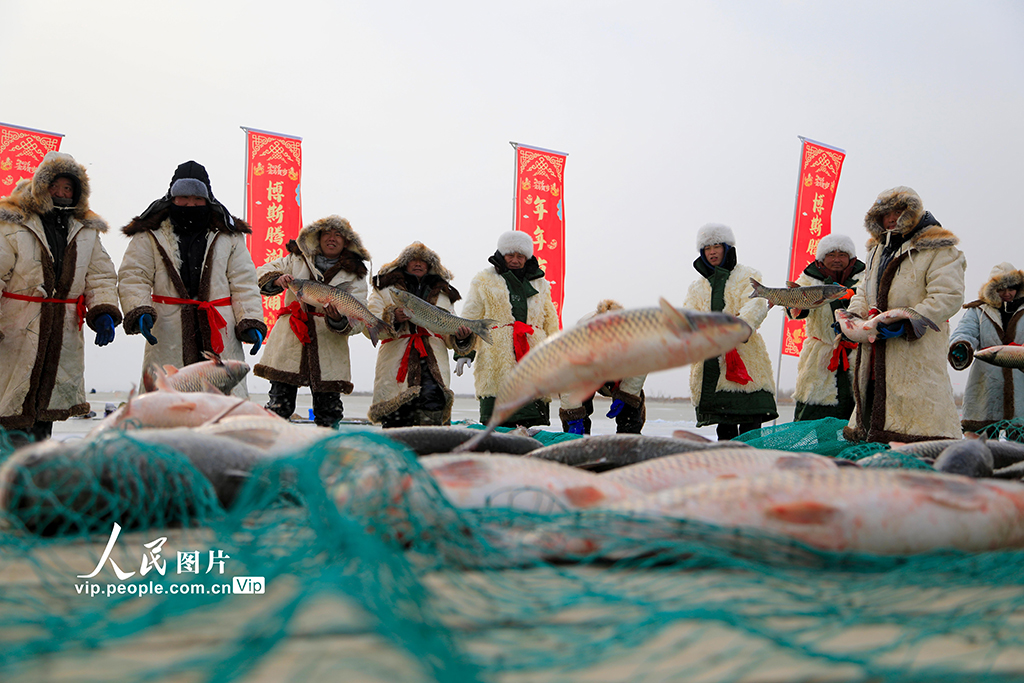 新疆博湖：博斯腾湖冬捕 人欢鱼跃【3】