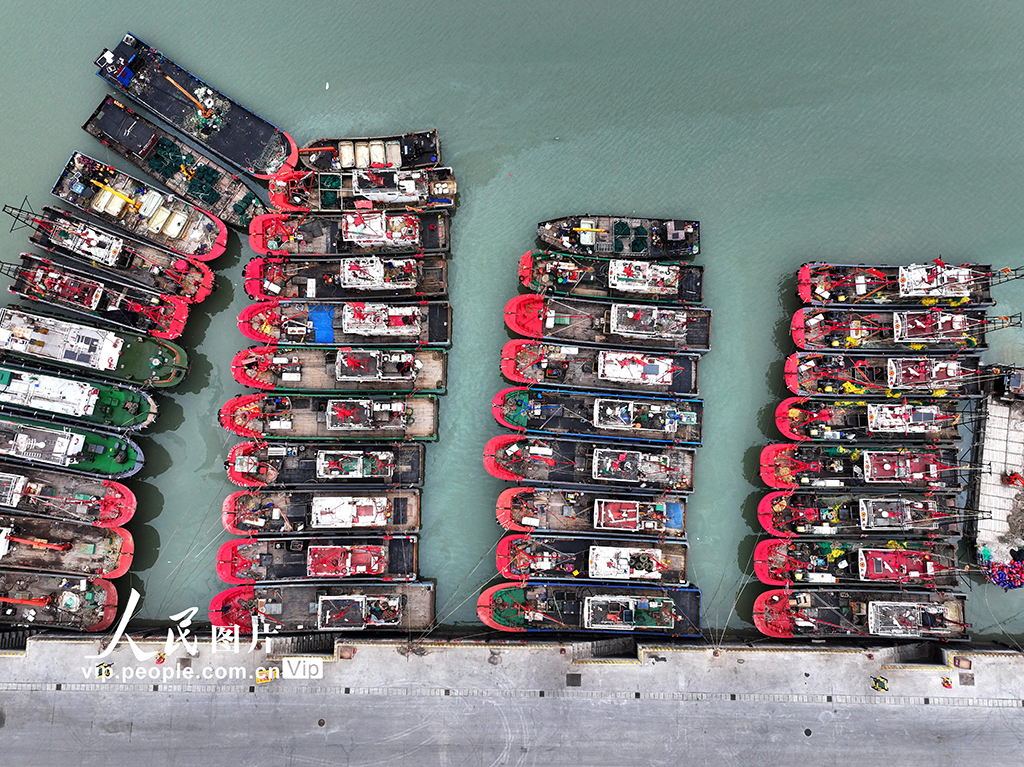 江苏连云港：渔船返港避寒潮【2】