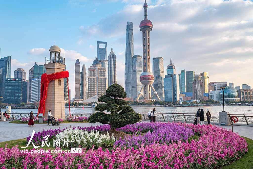 上海：北外滩紫罗兰竞相绽放【3】