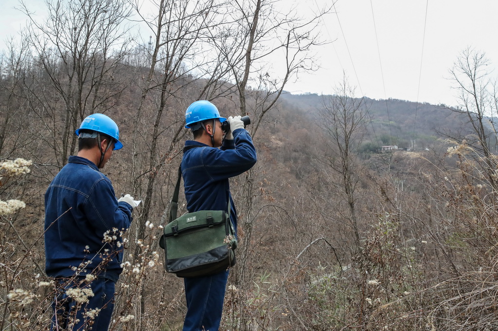 1月18日，在甘肃省陇南市两当县泰山乡同心村山林间，杨店供电所职工王超（右）和邹小亮巡检供电线路。