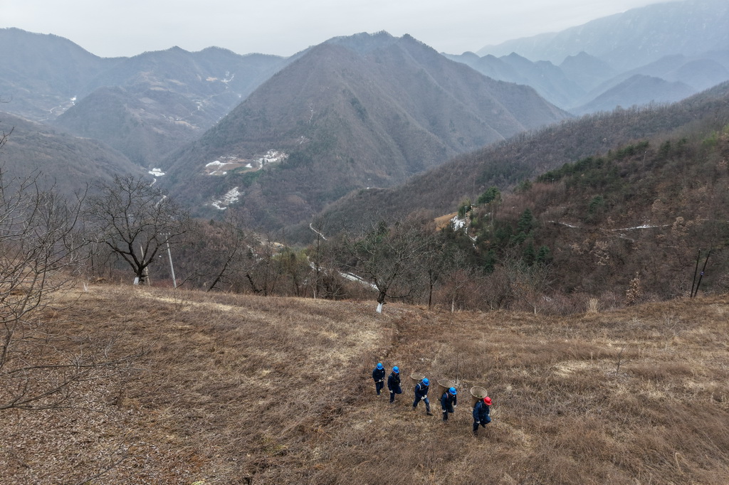 1月18日,在甘肃省陇南市两当县泰山乡新崖村,杨店供电所职工在大山深处巡检供电线路(无人机照片)。