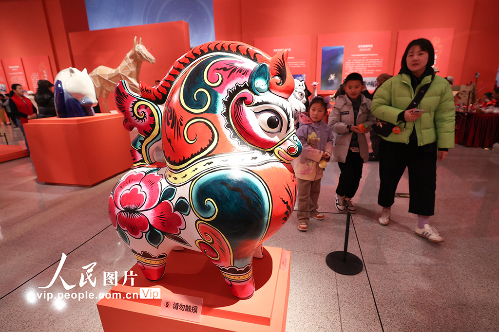 北京：“过年——丙午春节系列主题展”举办【5】