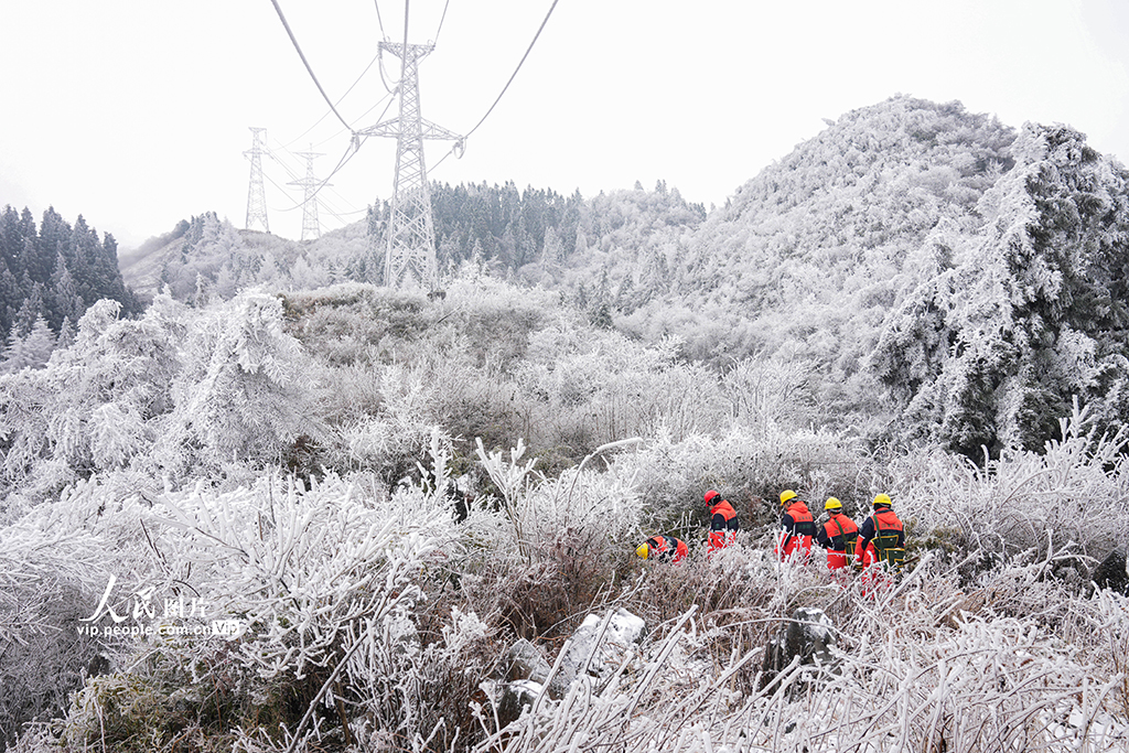 湖北鹤峰：冒雪巡线保供电【6】