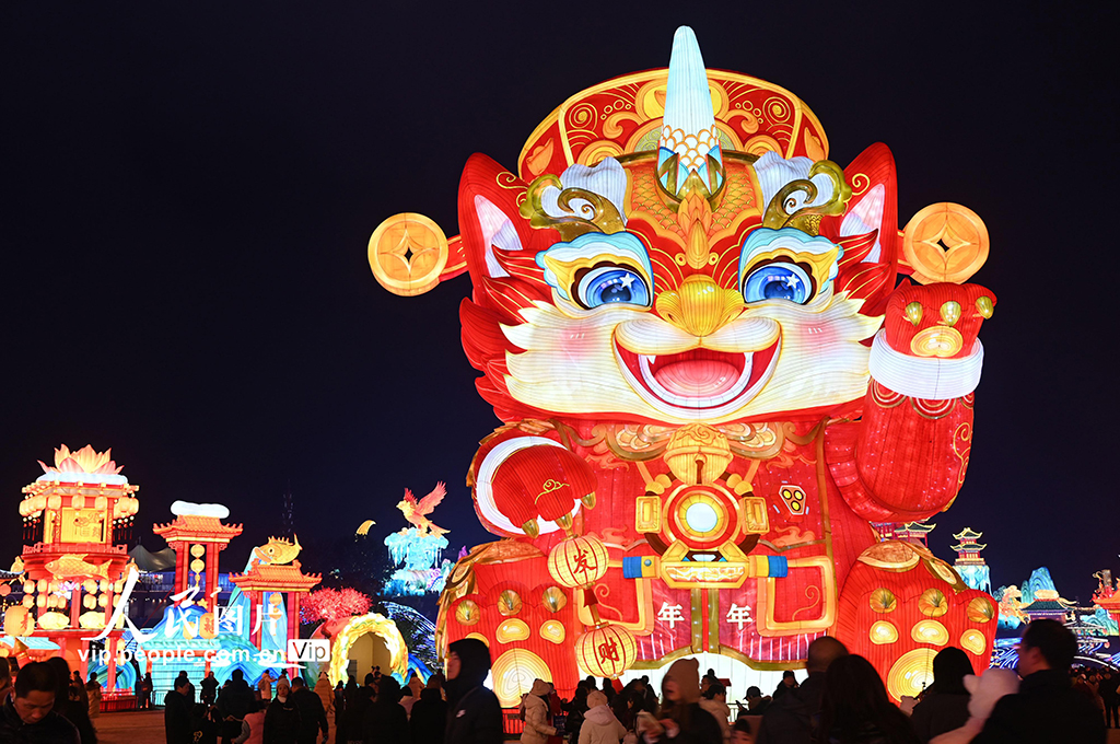 四川：第32届自贡国际恐龙灯会璀璨亮灯【2】