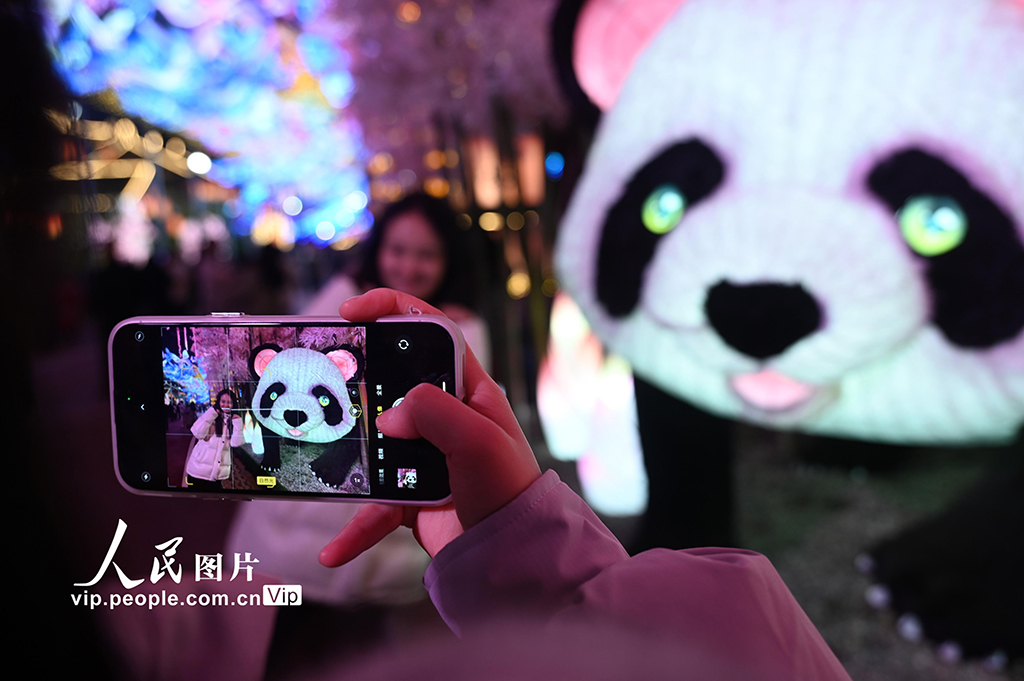 四川：第32届自贡国际恐龙灯会璀璨亮灯【8】
