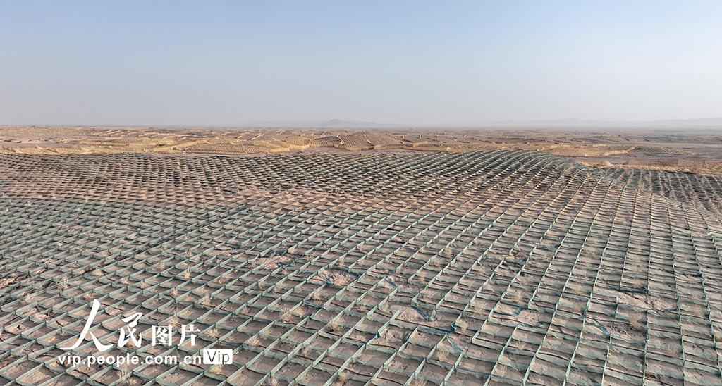 甘肃金塔:草方格中锁“黄龙”【5】