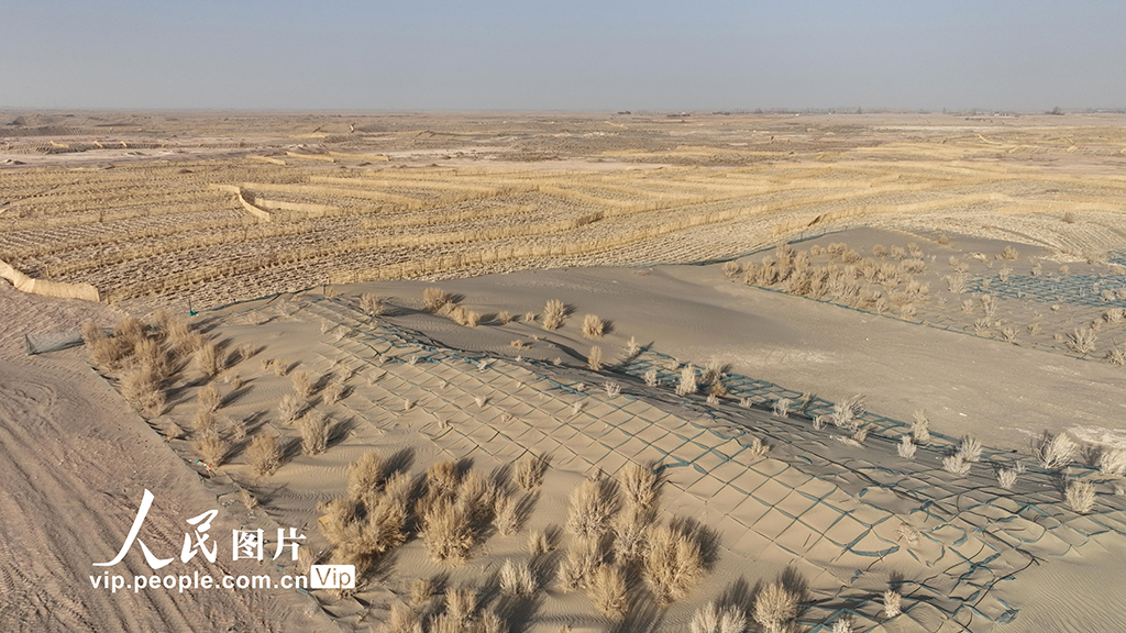 甘肃金塔:草方格中锁“黄龙”【6】