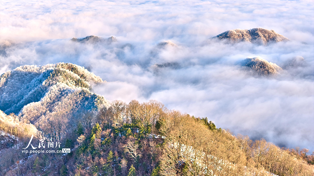 湖北神农架：神农天池现云海景观【4】