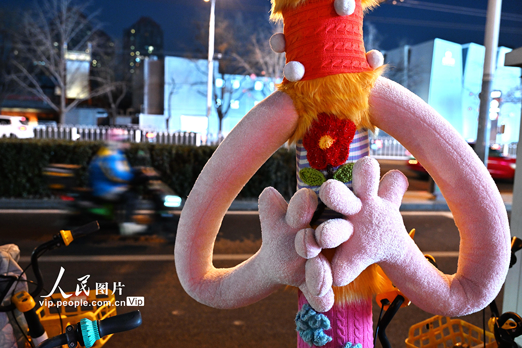 北京：给大树穿上“暖心毛衣”【5】