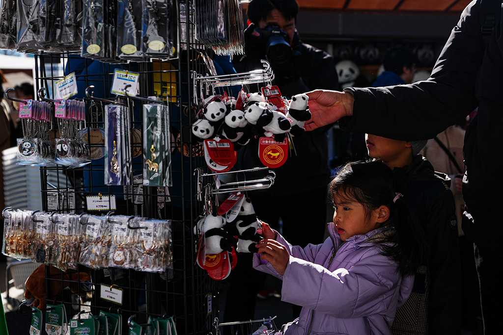 1月25日，游客在日本东京上野动物园挑选大熊猫纪念商品。