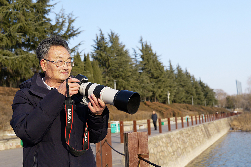 2026年1月20日,全国鸟类环志中心三门峡天鹅湖鸟类环志站站长高如意在三门峡天鹅湖国家城市湿地公园拍摄大天鹅照片留作资料。新华社记者 李嘉南 摄