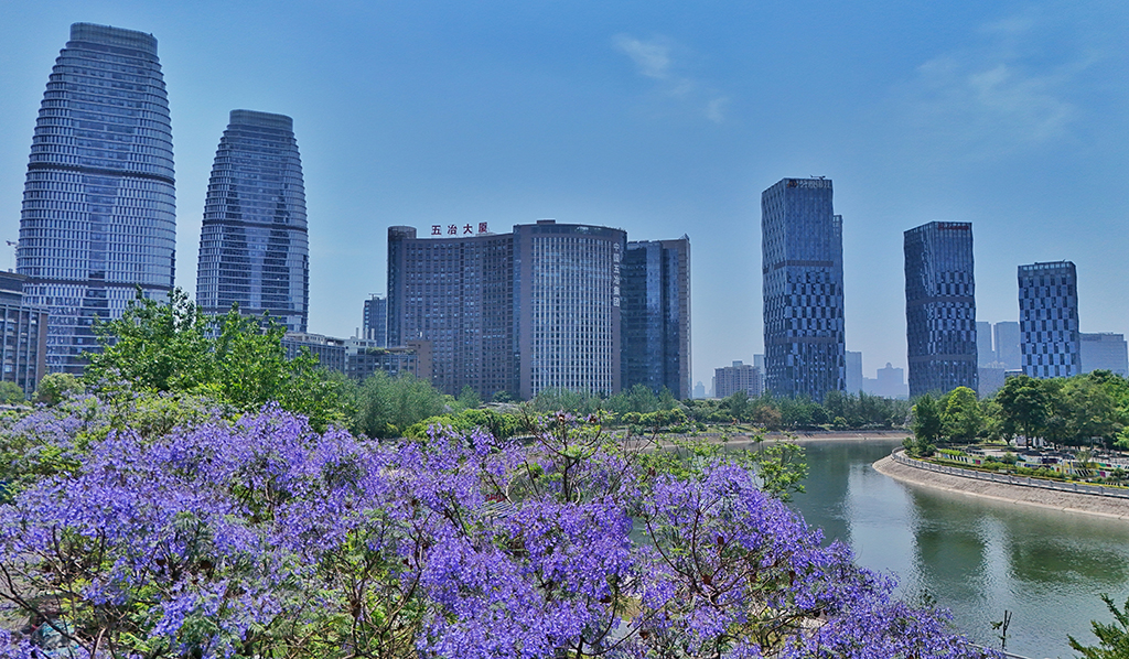 2025年5月12日拍摄的四川省成都市锦江区锦江畔风光(无人机照片)。新华社记者 刘坤 摄