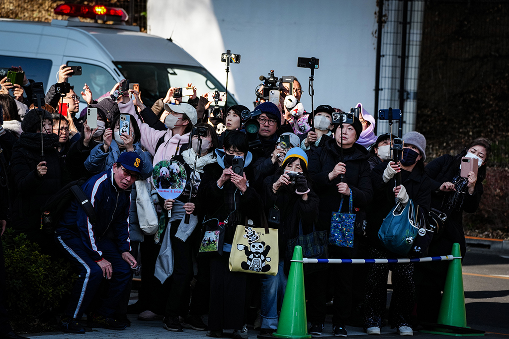 1月27日，当地民众在日本东京上野动物园外送别大熊猫“晓晓”和“蕾蕾”。新华社记者 贾浩成 摄
