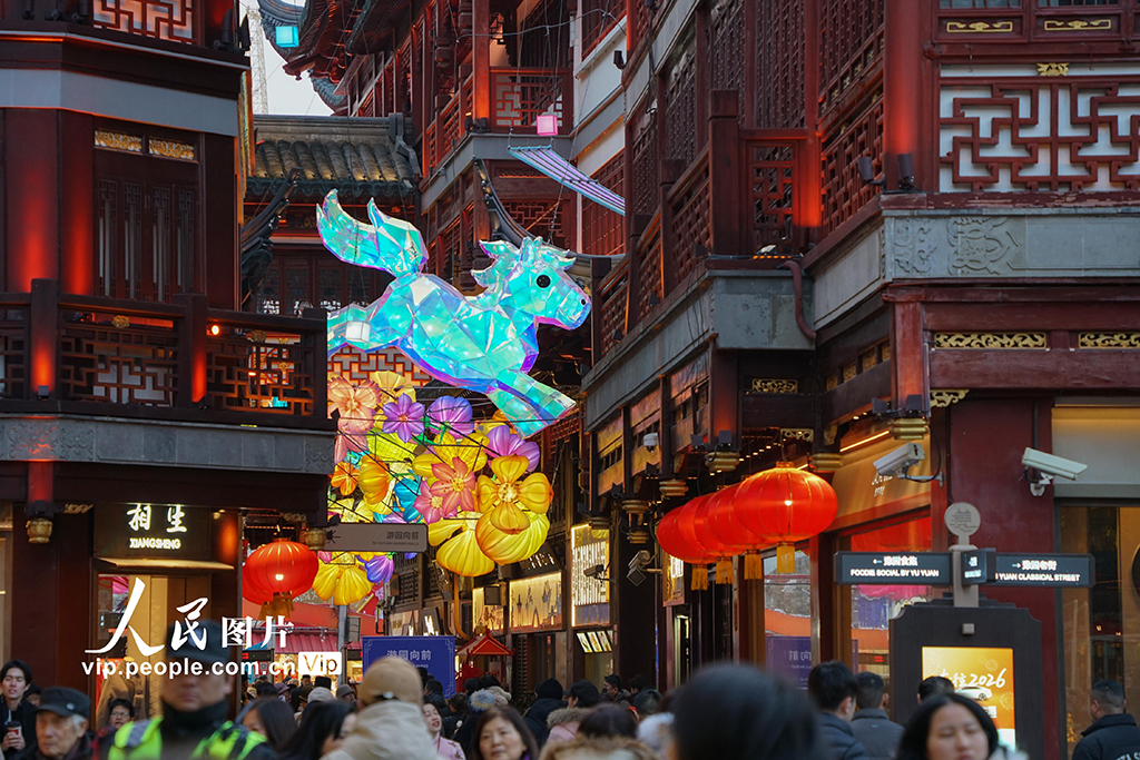 上海：豫园马年灯会流光溢彩【7】