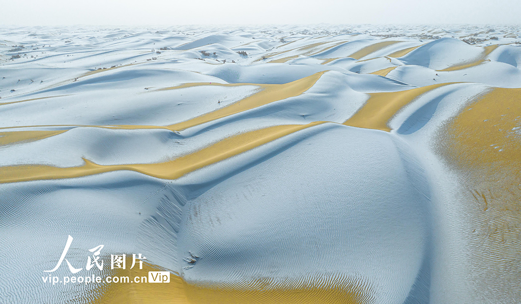 新疆尉犁：塔克拉玛干沙漠雪景如画【2】