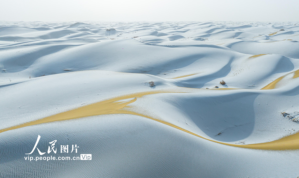 新疆尉犁：塔克拉玛干沙漠雪景如画【7】