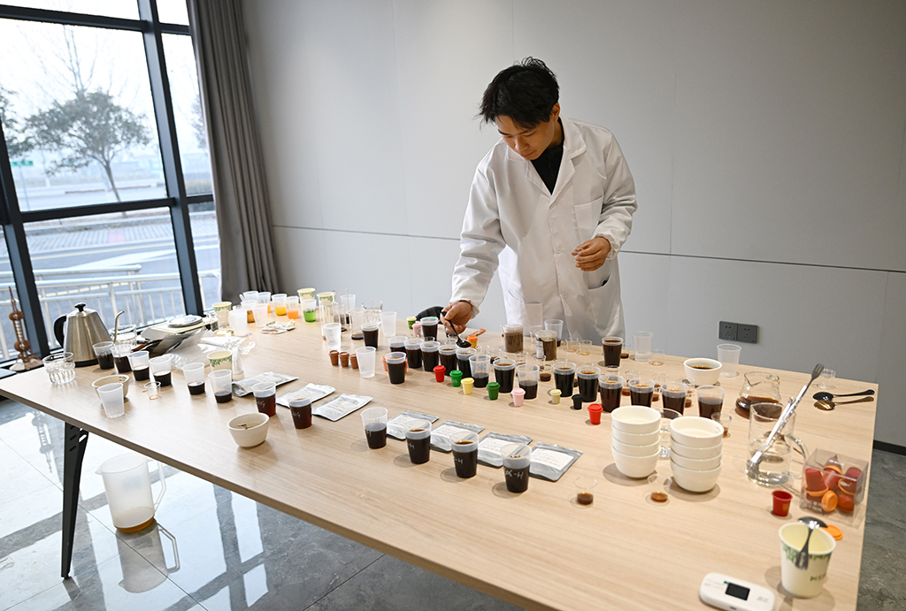 1月27日，在河南濮阳县的中国（濮阳）埃塞咖啡产业示范园，研发人员在进行咖啡杯测。