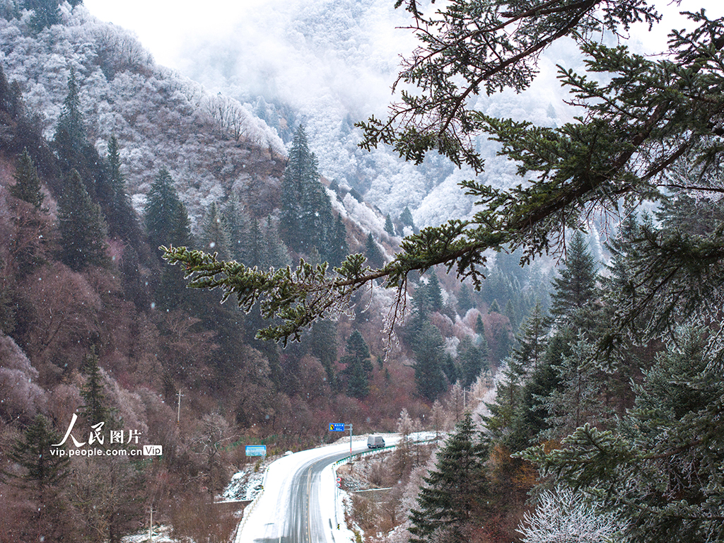 甘肃宕昌：公路蜿蜒画“水墨” 【2】