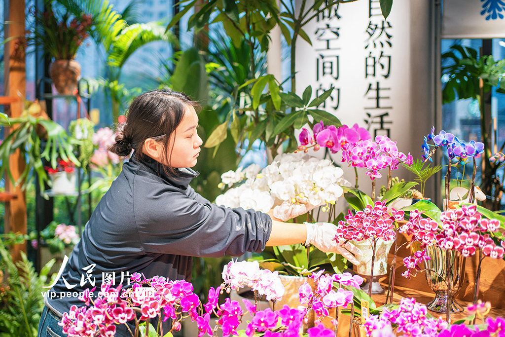 上海：年宵花争奇斗艳【2】