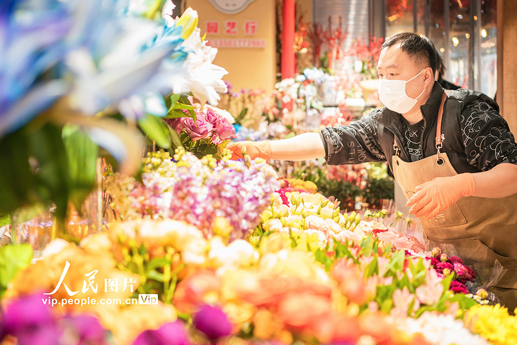 上海：年宵花争奇斗艳【4】