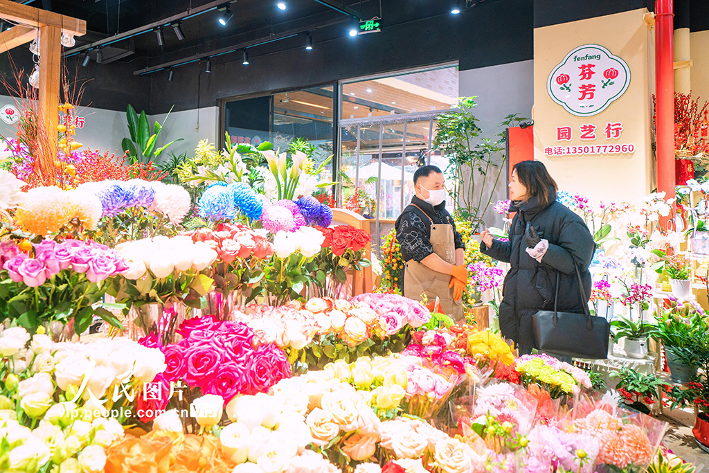 上海：年宵花争奇斗艳【8】