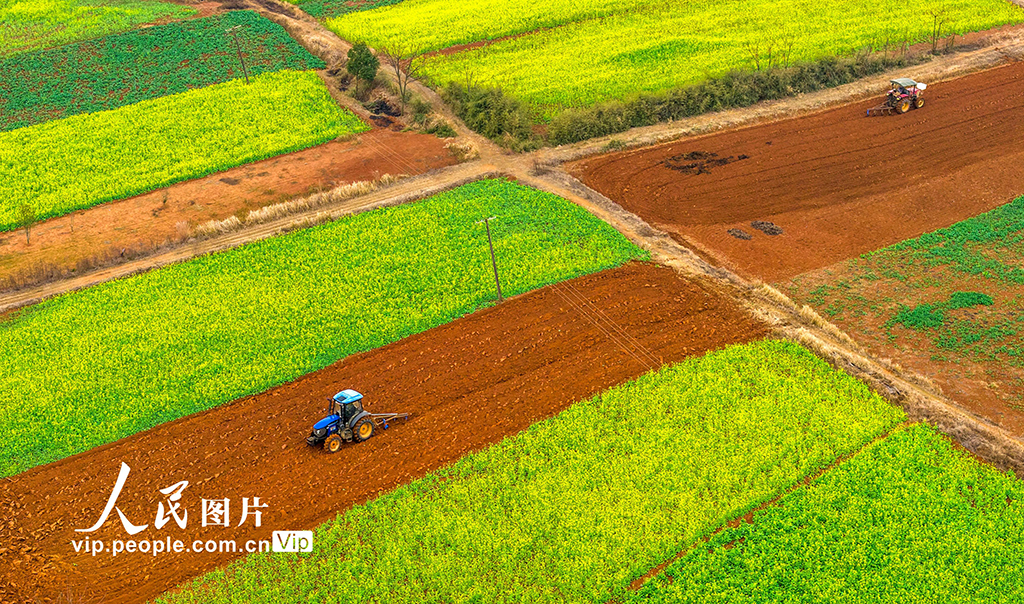 江西樟树:立春将至农事忙【3】