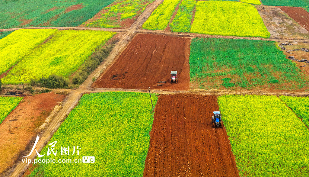 江西樟树:立春将至农事忙【4】