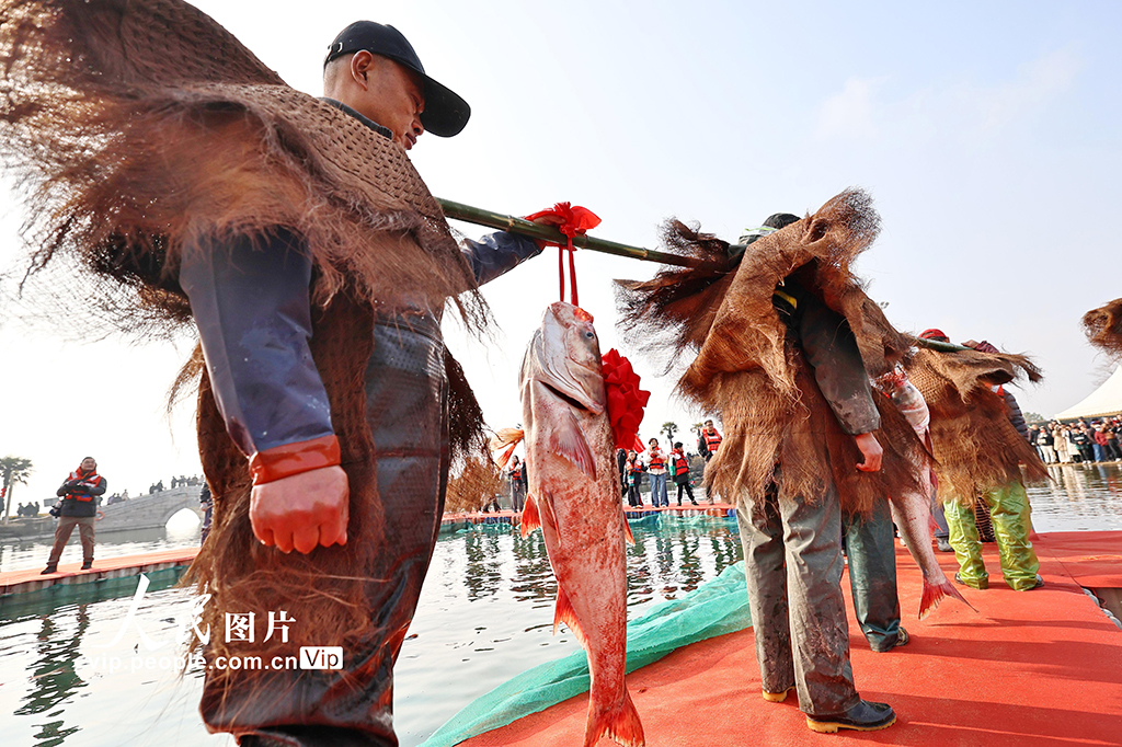 浙江嘉兴：“鱼乐迎新岁”新春嘉年华活动启幕【2】