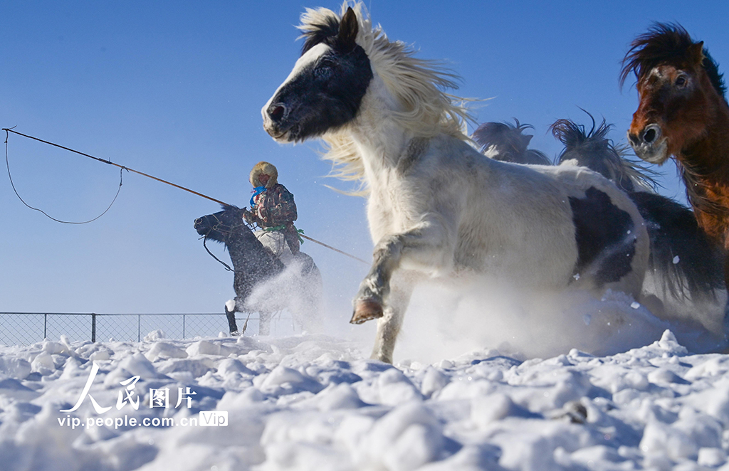 内蒙古锡林郭勒：策马踏雪迎新春【5】