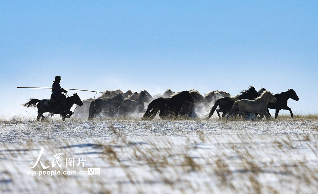 内蒙古锡林郭勒：策马踏雪迎新春【3】