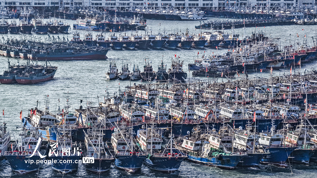 山东荣成：渔船归港避风【3】