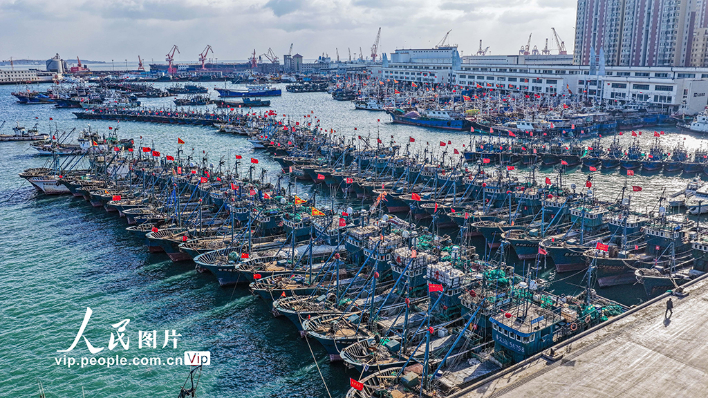 山东荣成：渔船归港避风【4】