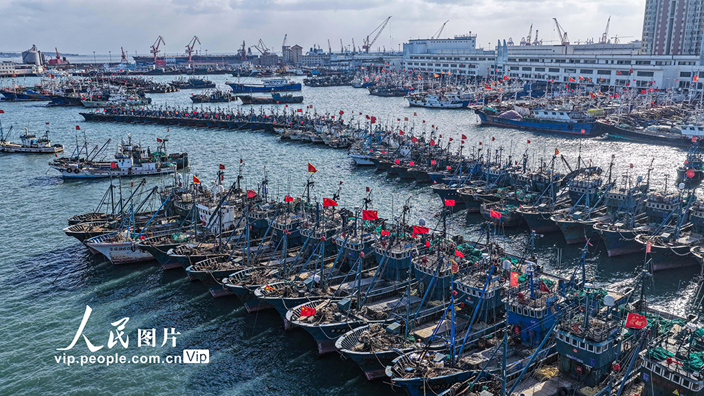 山东荣成：渔船归港避风【7】