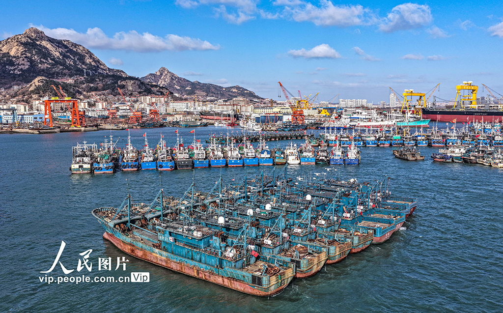 山东荣成：渔船归港避风【8】