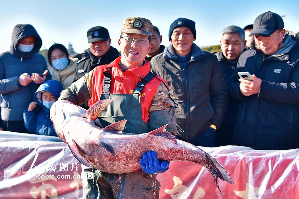 江苏如皋:龙游湖冬捕迎新春【2】