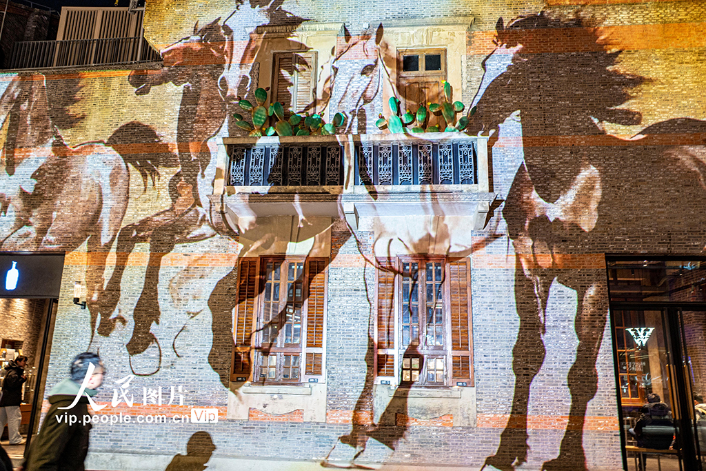 上海：光影盛宴迎新春【5】