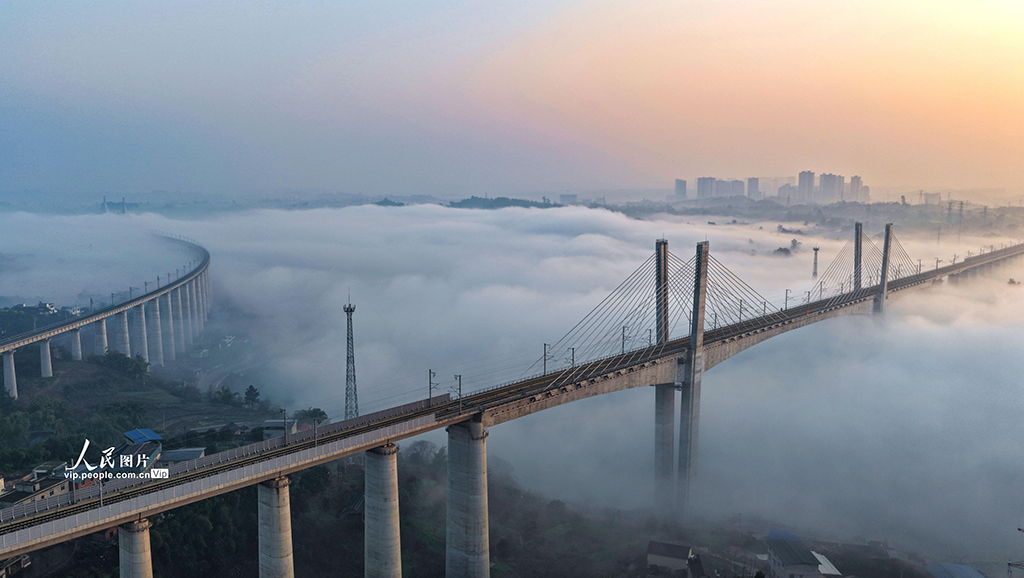 四川泸州：晨雾迷漫宛如“天空之城”【5】